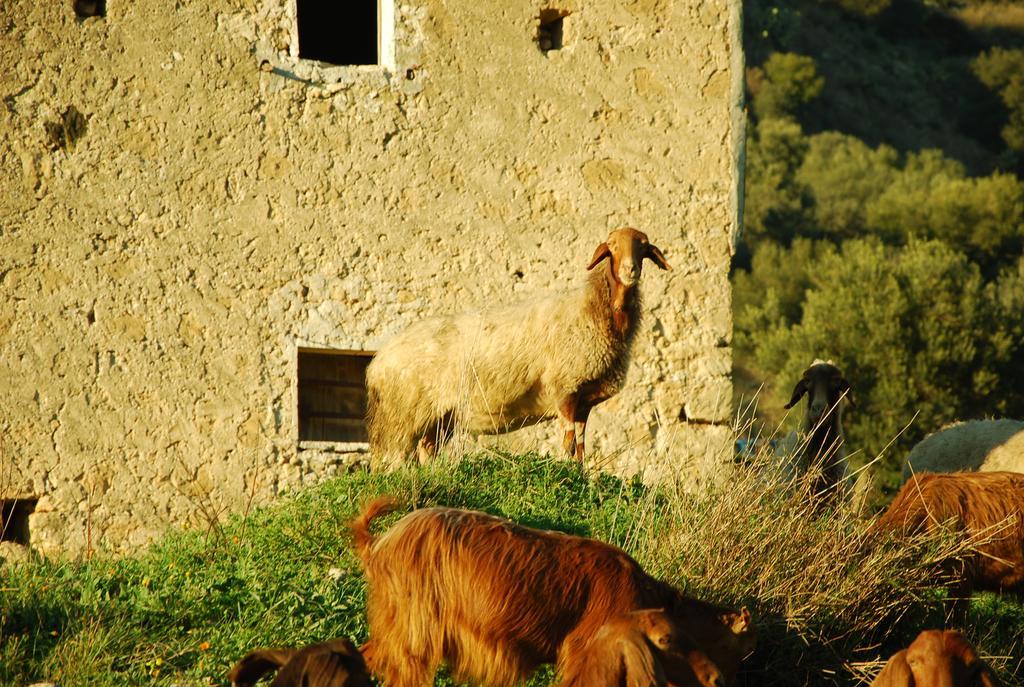 Experience Il Paesino Licodia Eubea Exterior foto
